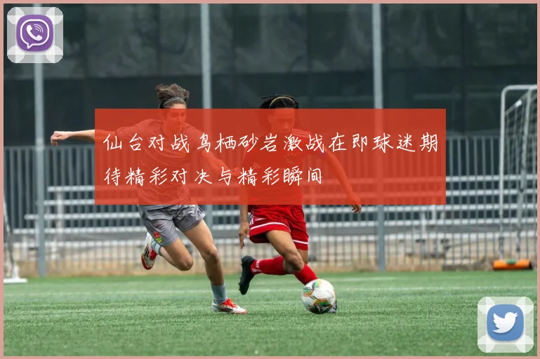 仙台对战鸟栖砂岩激战在即球迷期待精彩对决与精彩瞬间