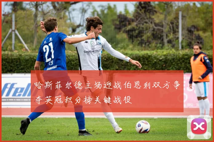 哈斯菲尔德主场迎战伯恩利双方争夺英冠积分榜关键战役