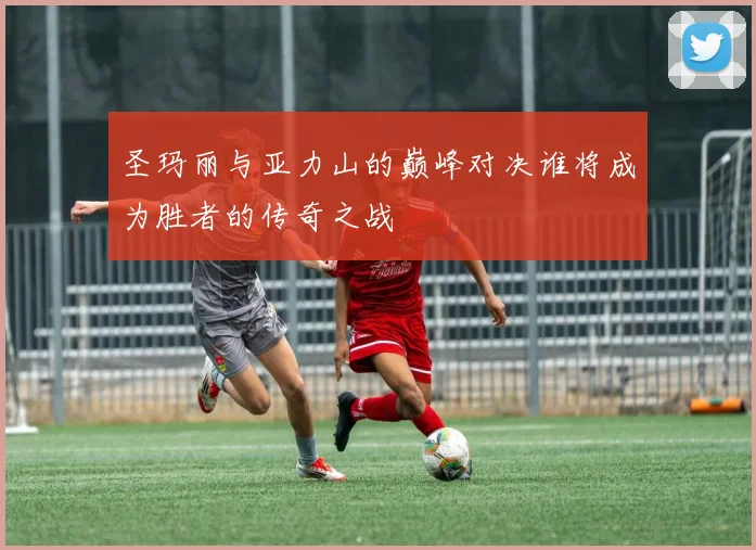 圣玛丽与亚力山的巅峰对决谁将成为胜者的传奇之战