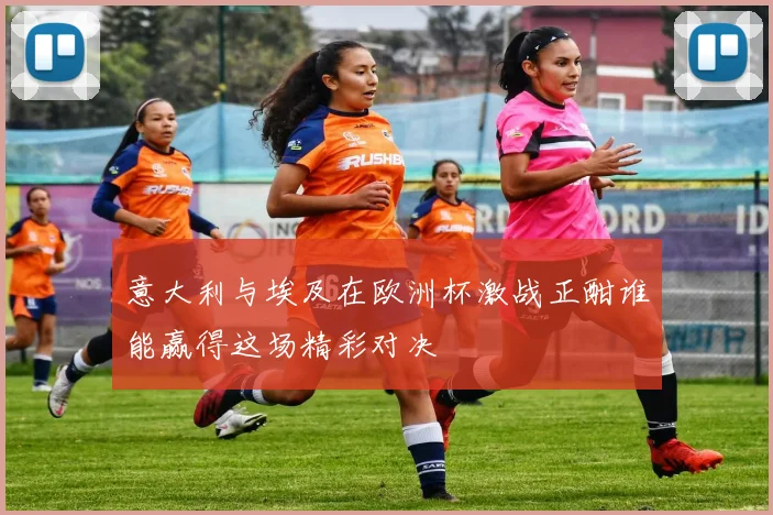 意大利与埃及在欧洲杯激战正酣谁能赢得这场精彩对决