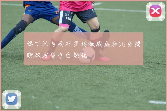 诺丁汉与西布罗姆激战成和比分揭晓双方争夺白热化