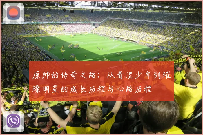 原帅的传奇之路：从青涩少年到璀璨明星的成长历程与心路历程