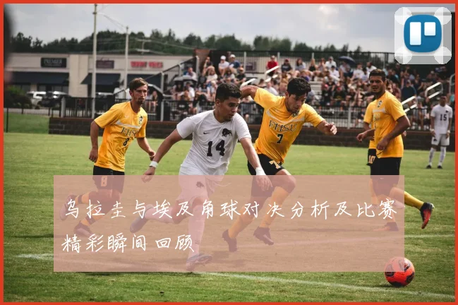 乌拉圭与埃及角球对决分析及比赛精彩瞬间回顾