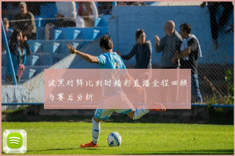 波黑对阵比利时精彩直播全程回顾与赛后分析