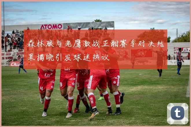 森林狼与老鹰激战正酣赛季对决结果揭晓引发球迷热议